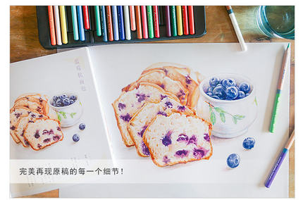 色鉛筆描画ブック32クラシックおいしい食品鉛筆絵画テキスト学 - Food And Snacks Coloring Book のレビューと価格